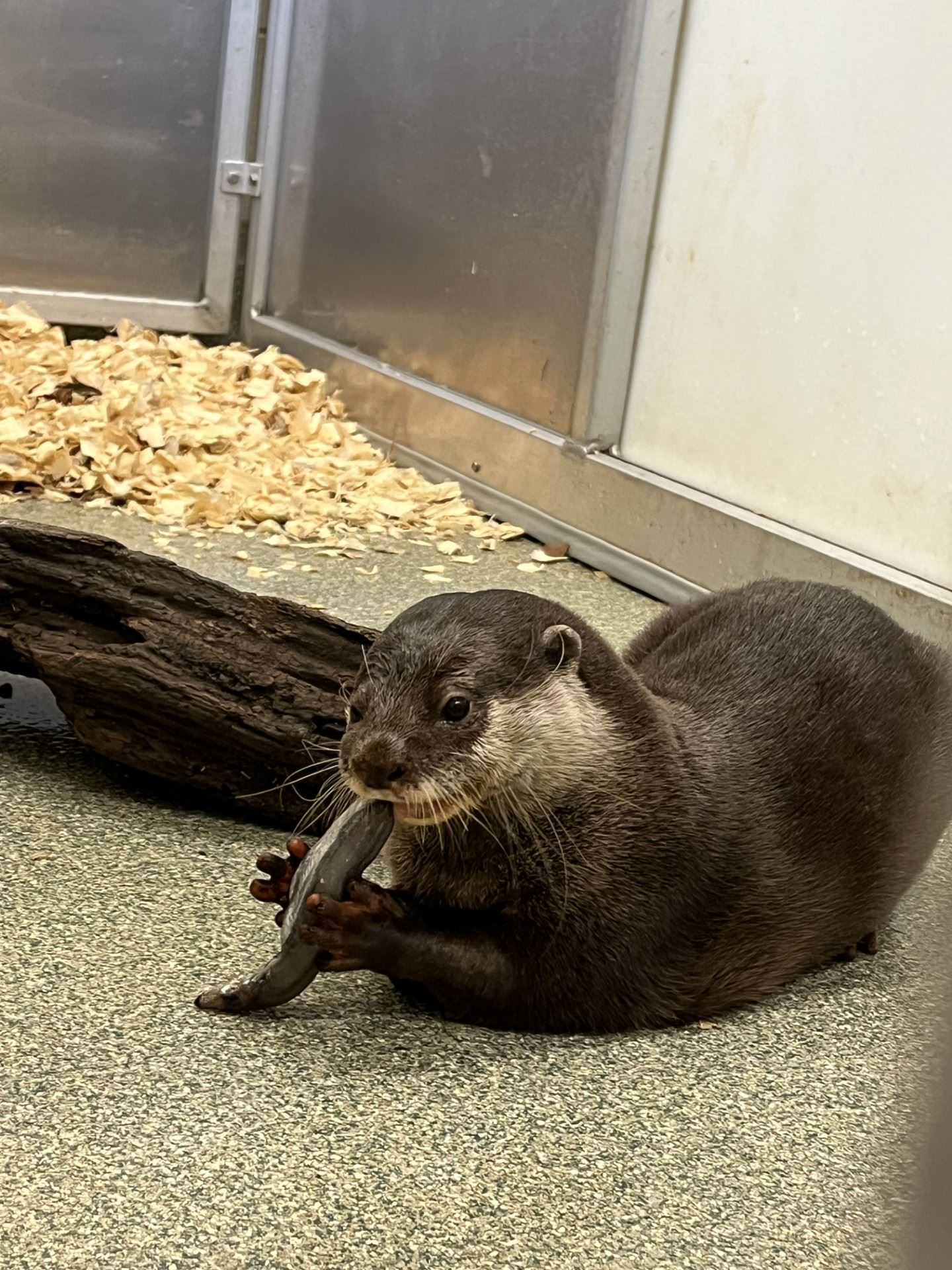 Miracle max behind the scenes 